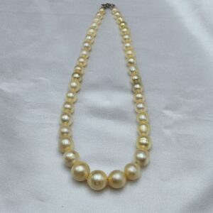 Golden South Sea Pearl Necklace